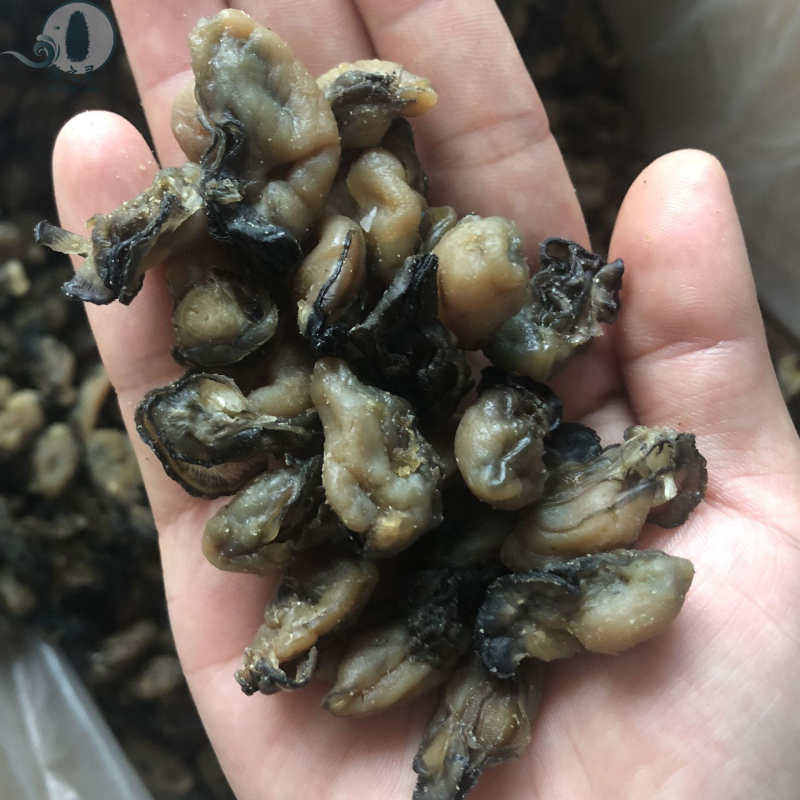 电白蚝豉干